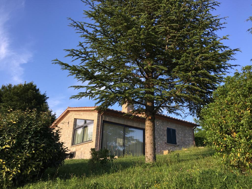 Agricola Caicucci Villa Монтоне Стая снимка